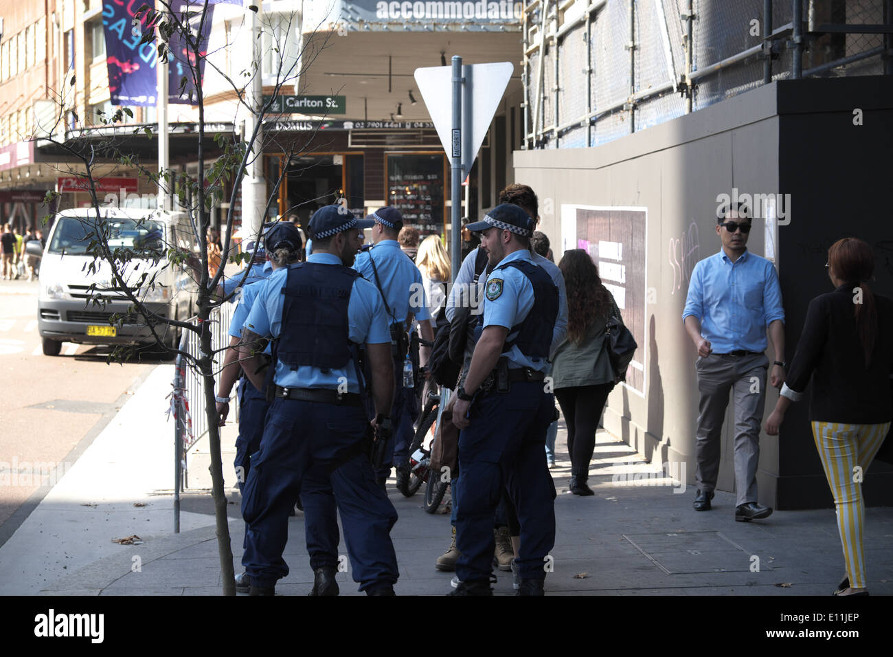 洋書 City of Shadows Sydney Police Photograph My Darling Darlinghurst: Darlinghurst: Books: City of