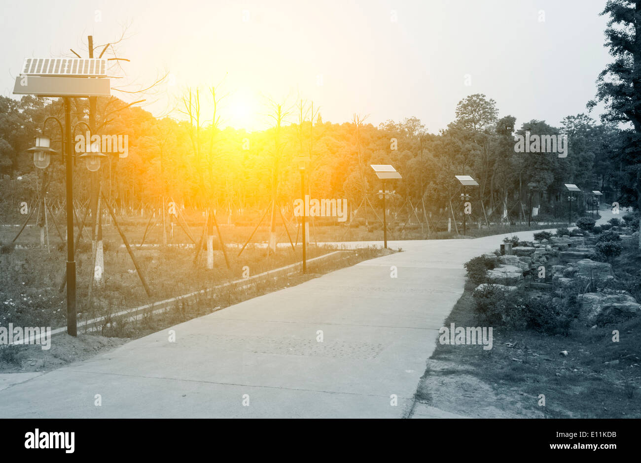 Roadside solar streetlamp Stock Photo