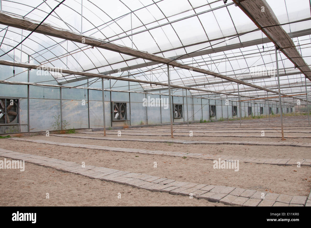 Greenhouse crop production hires stock photography and images Alamy