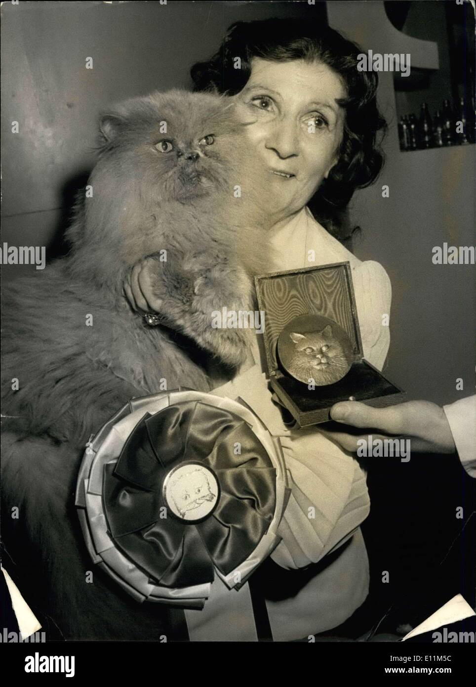 Jan. 15, 1979 - International Cat Show Winner: Ulysses the Persian Blue Stock Photo