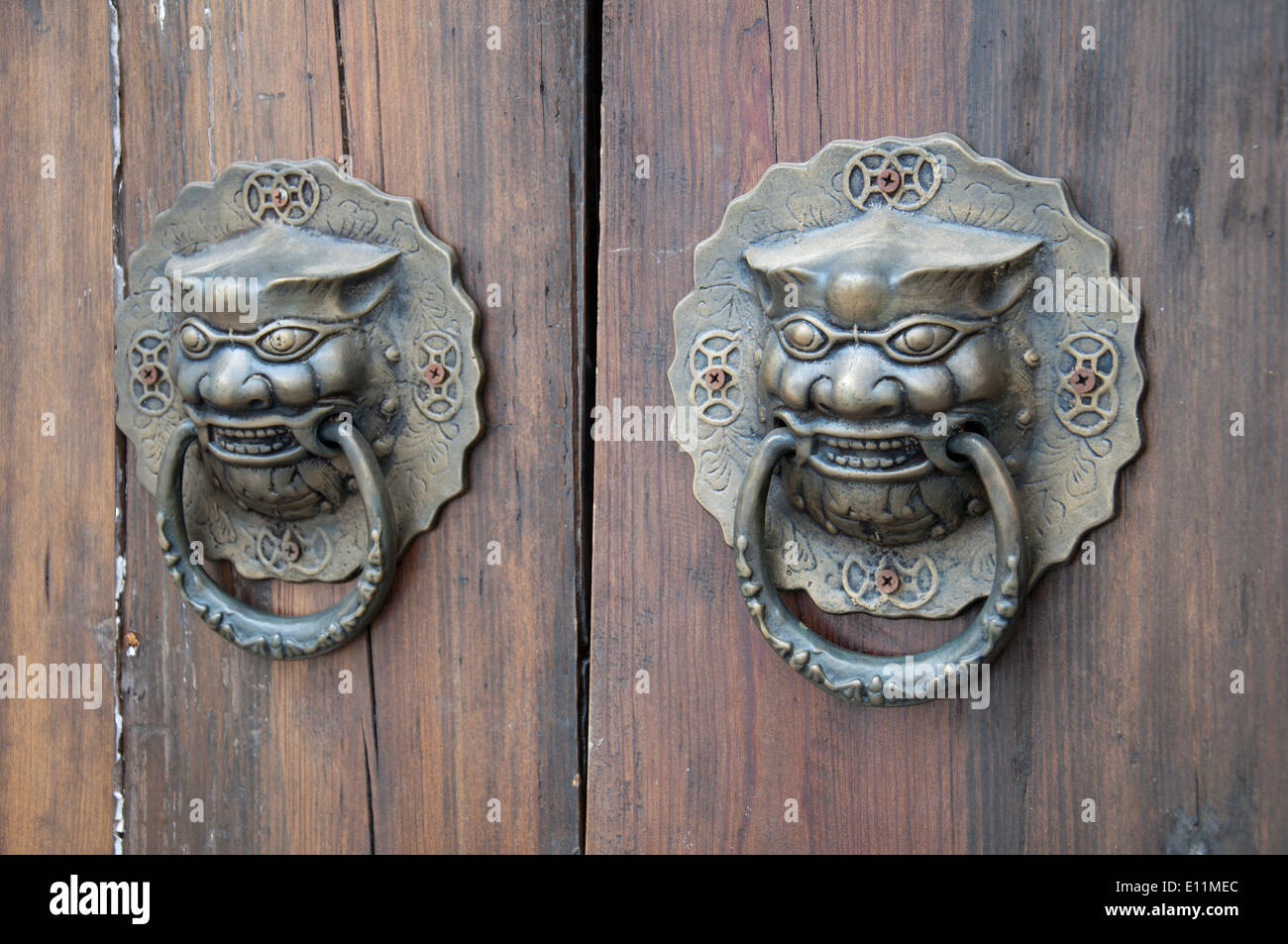 Lion-type knocker Stock Photo
