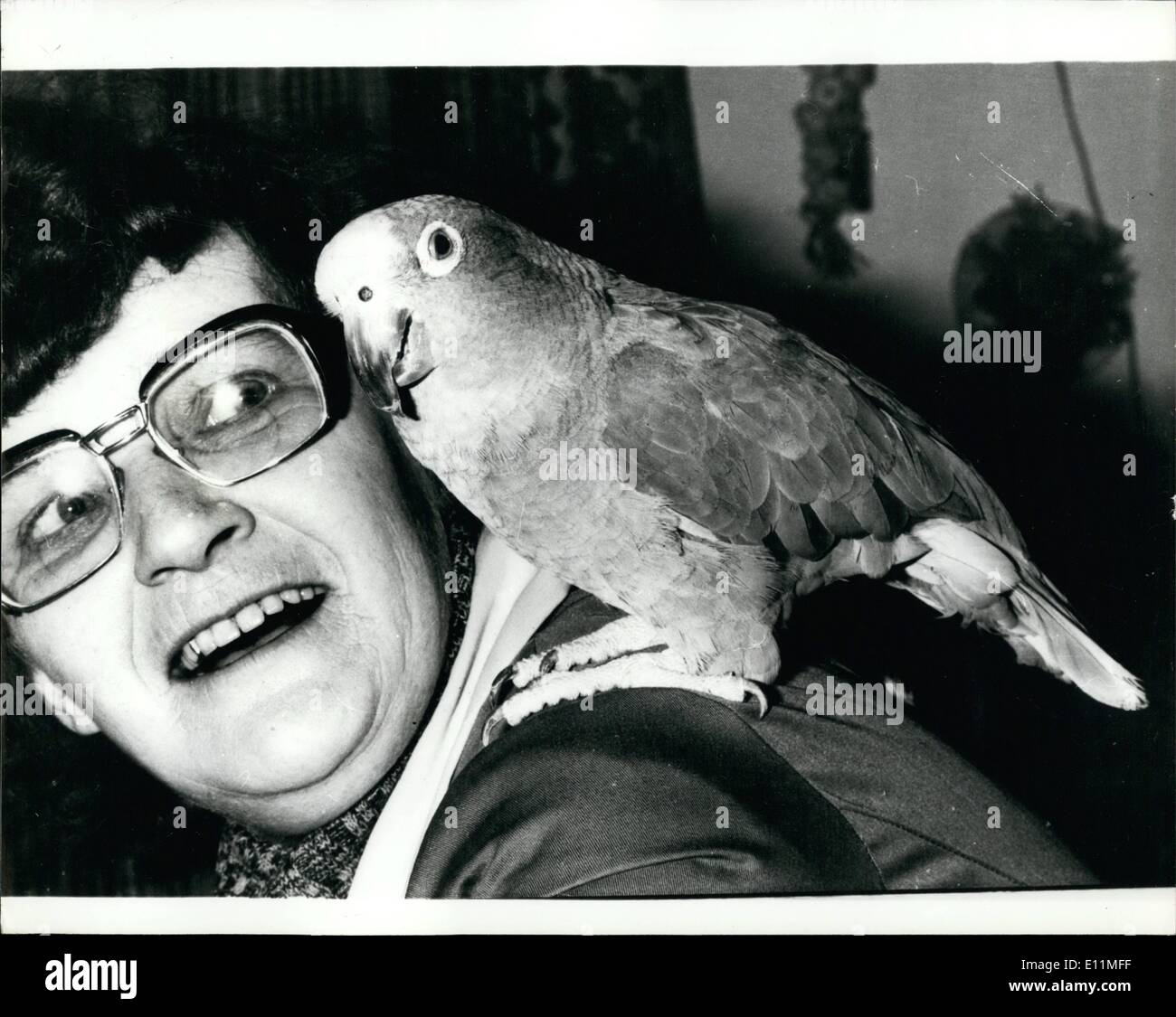 Feb. 02, 1979 - Pretty Polly saves the day: Legal history was recently in Denmark when a parrot helped police to make an arrest. The animal was found sitting on the shoulder of a man lying in the street. They were both taken to the police station, where the man proved to be too intoxicated to speak. The parrot, who announced as Jacob, informed the police that he was owned by Hertha. This turned out to be the name of a pet shop owner who had suffered a burglary of a dozen parrots and about thirty budgerigars. Unfortunately Jacob could offer no further evidence on the theft Stock Photo