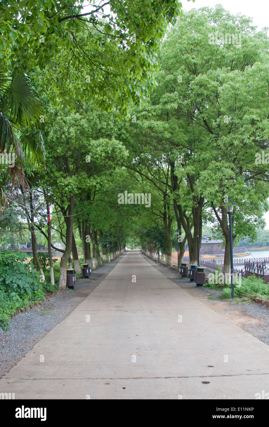Forward road sign hi-res stock photography and images - Alamy