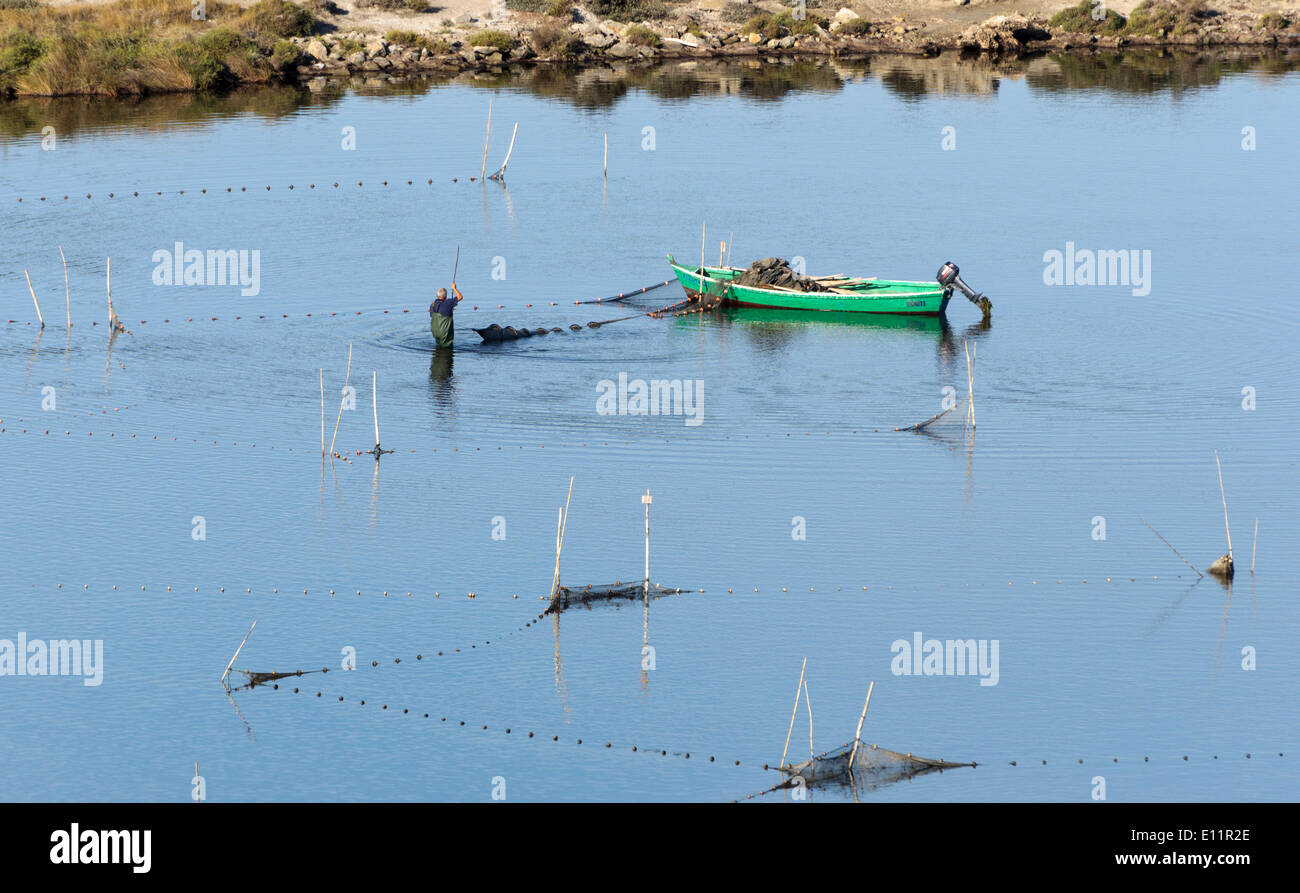 Vertical view of a traditional round fishing boat, parisal, with two people  fishing on the backwaters of Kerala Stock Photo - Alamy