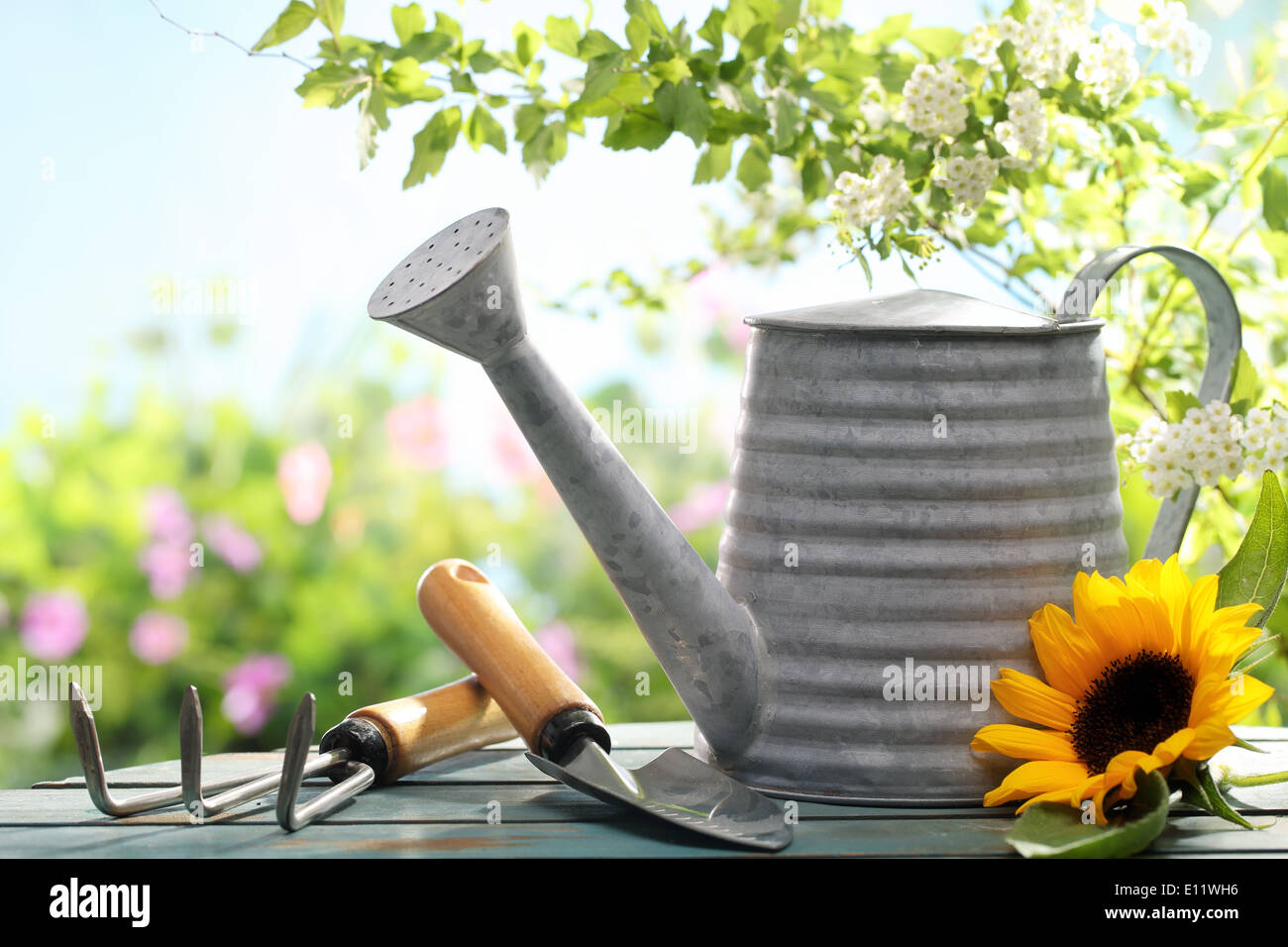 Outdoor gardening tools and flowers Stock Photo