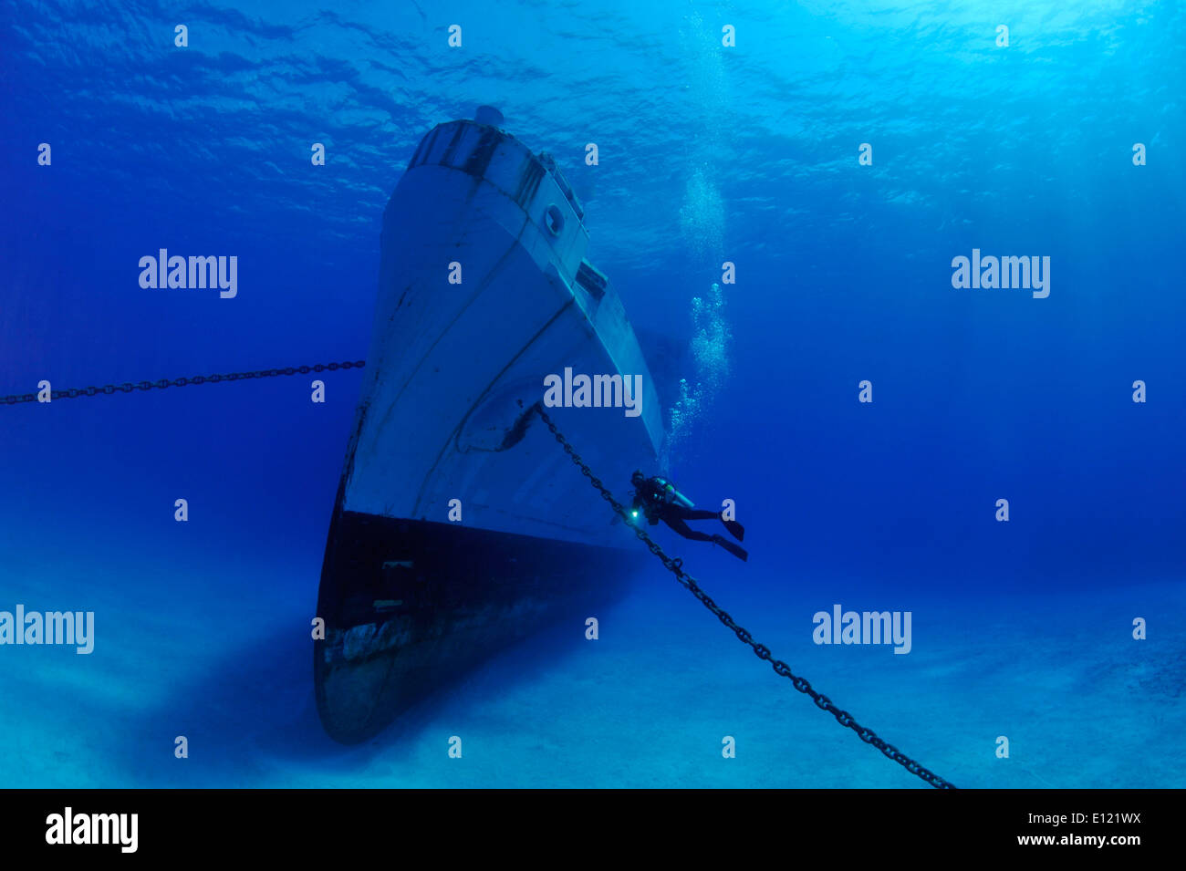 Diving the Kittiwake Stock Photo Alamy