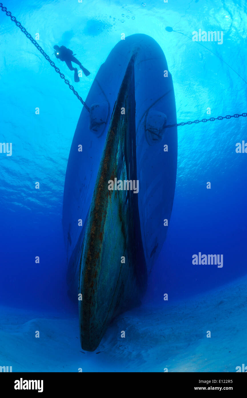 Diving the Kittiwake Stock Photo Alamy