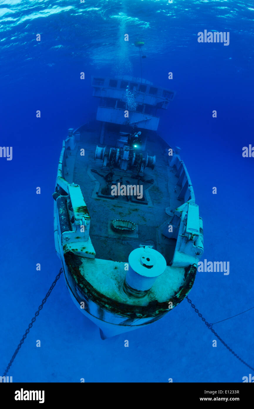 Diving the Kittiwake Stock Photo Alamy