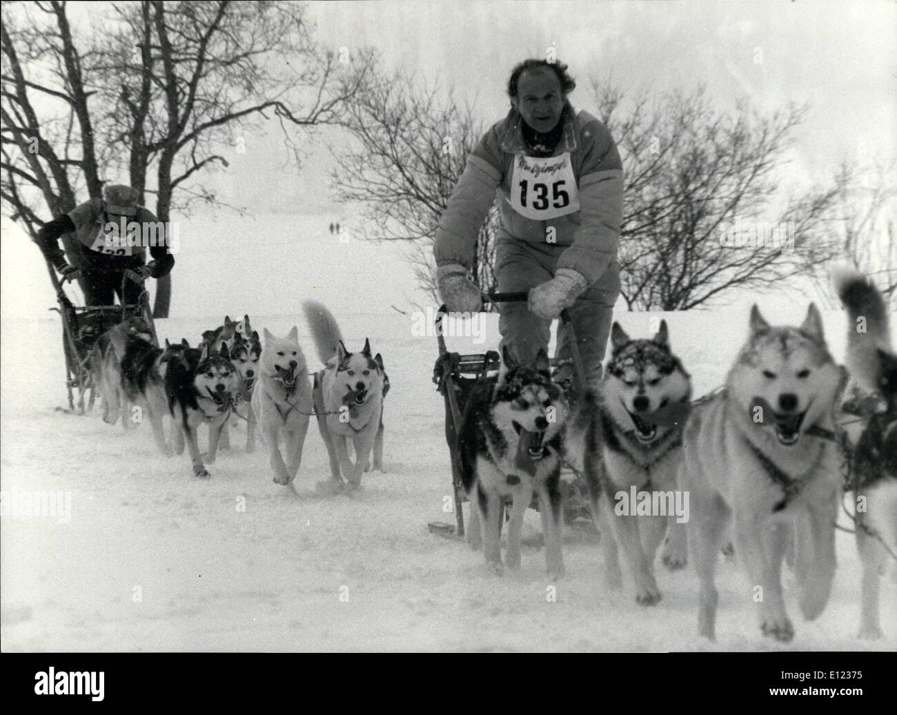 Feb. 02, 1984 - Championship of dog sledge race in the Engadine: Dog ...