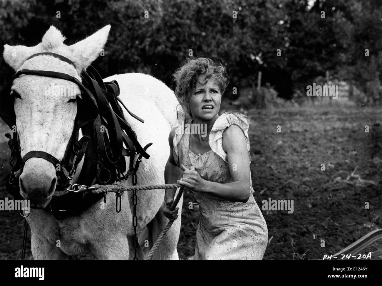 Sally field hi-res stock photography and images - Alamy