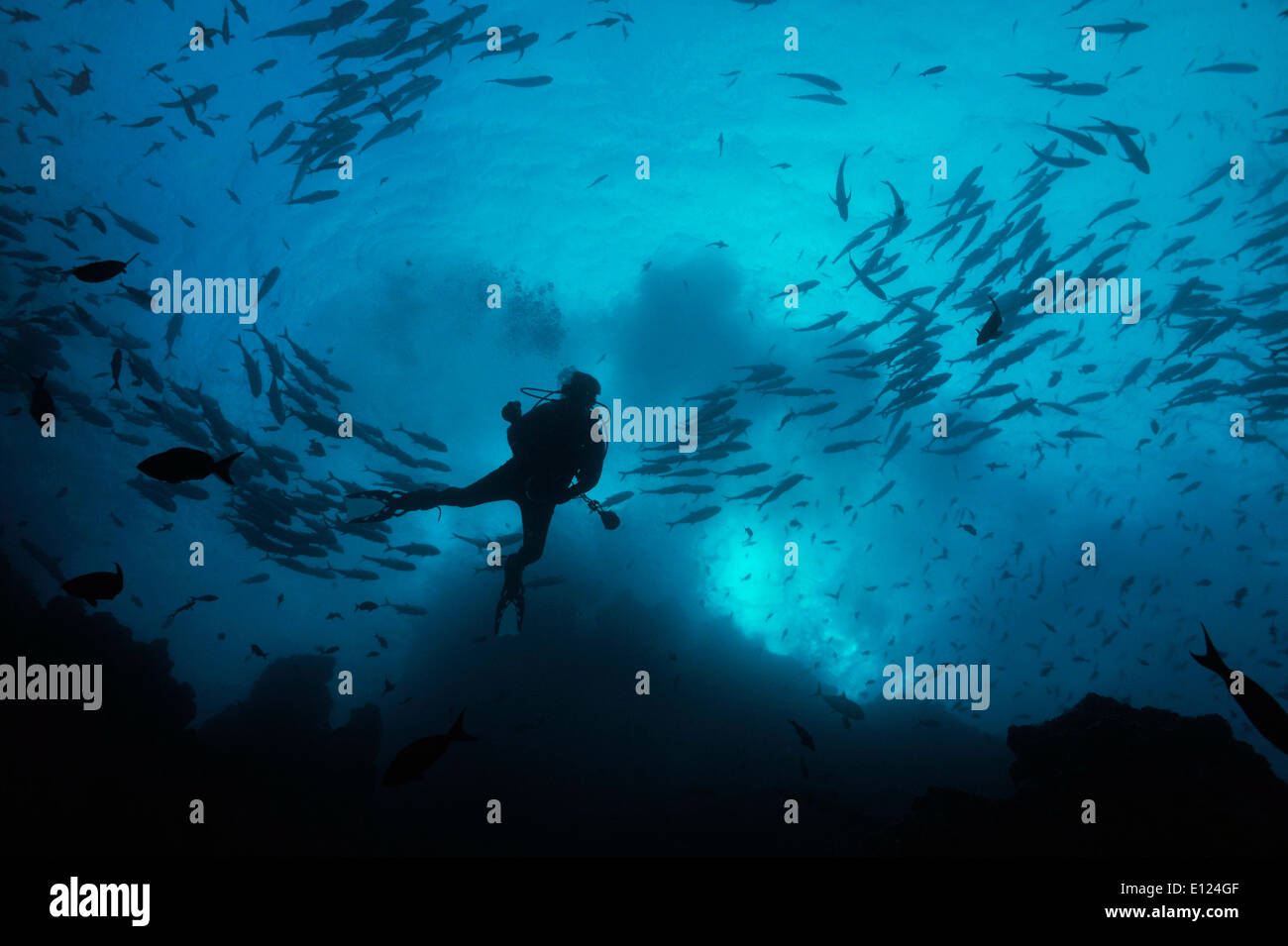 Diver silhouette Stock Photo