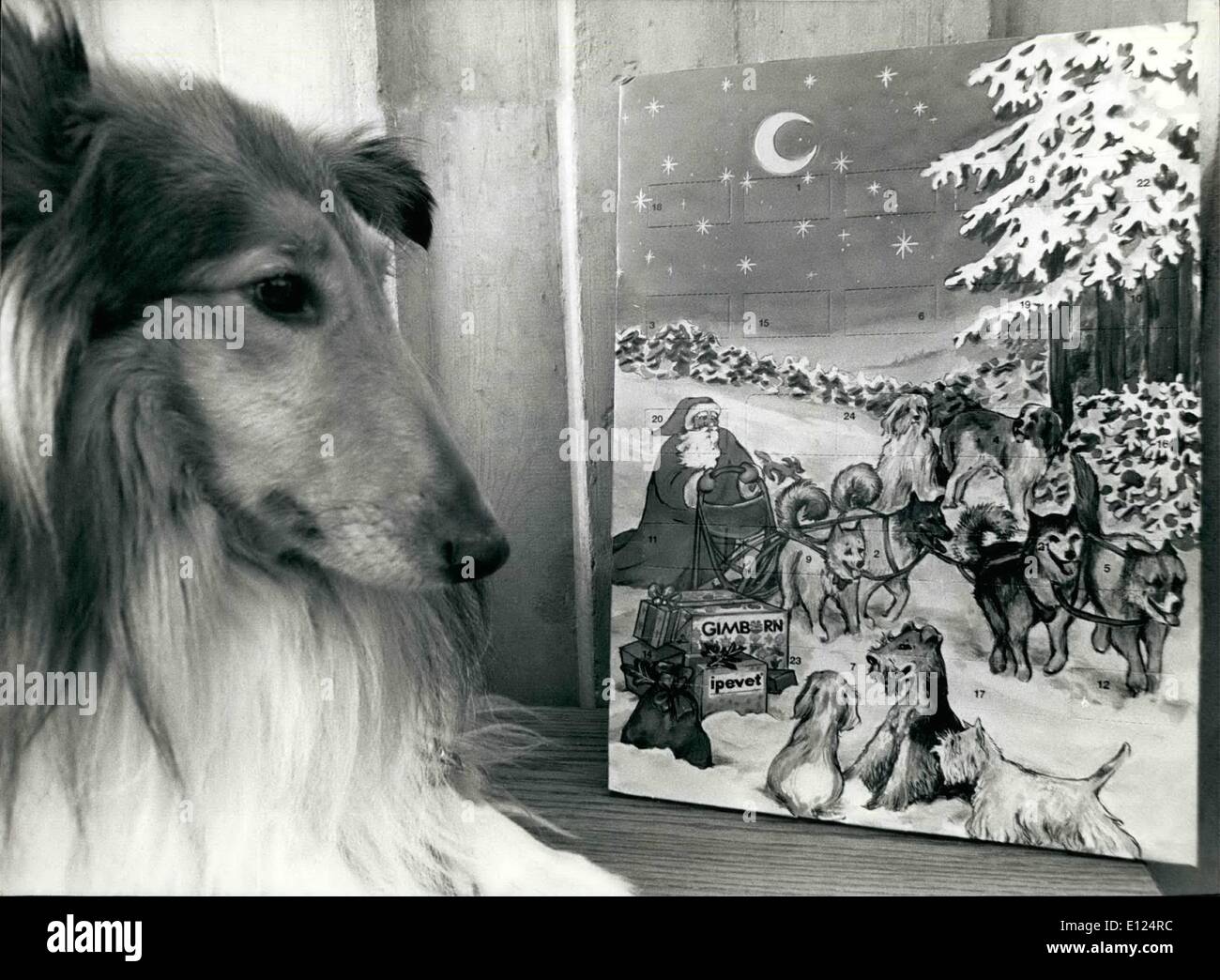 Advent Calendars For Dogs