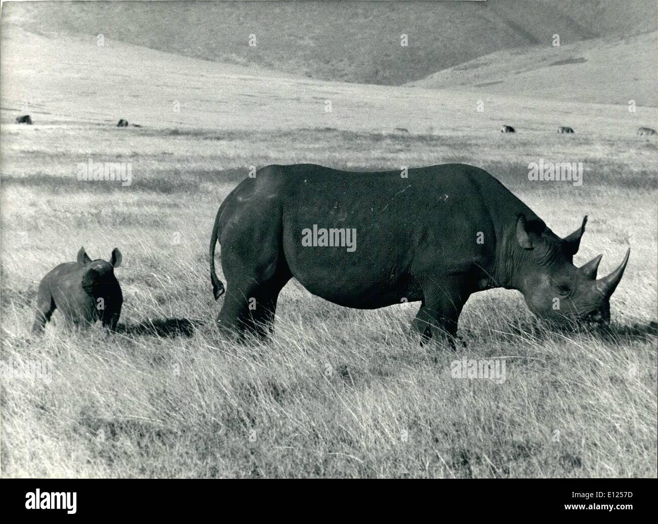 Feb. 02, 1987 - Safe Niroes from extinction: According Kenias wild-life experts, the number of rinoes has deased since 1970 f Stock Photo