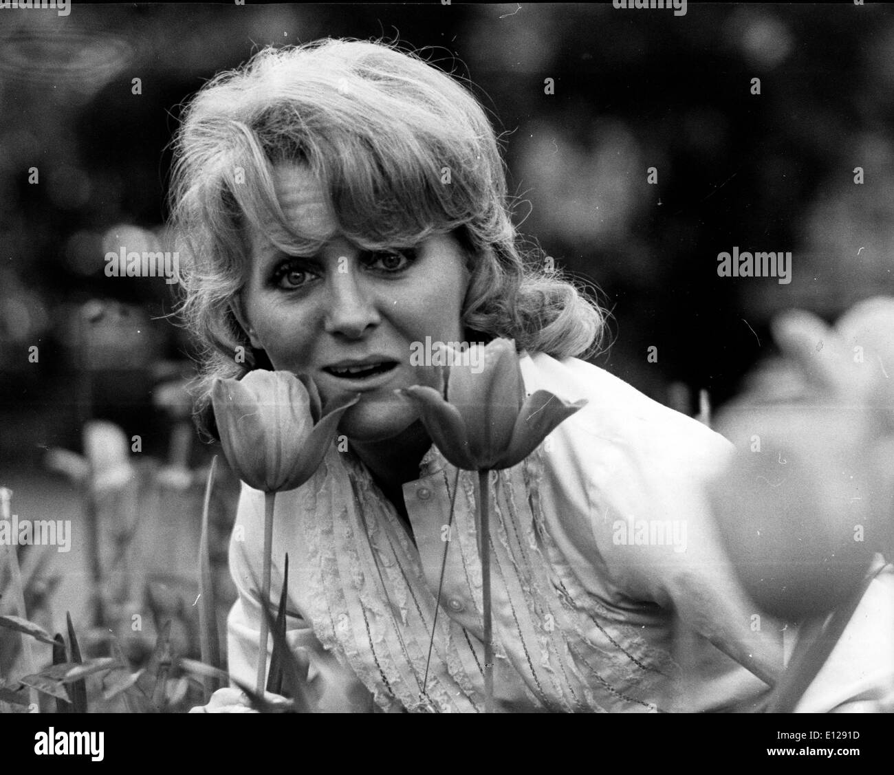 Nicole Black And White Stock Photos Images Alamy Nicole black and white stock photos images alamy