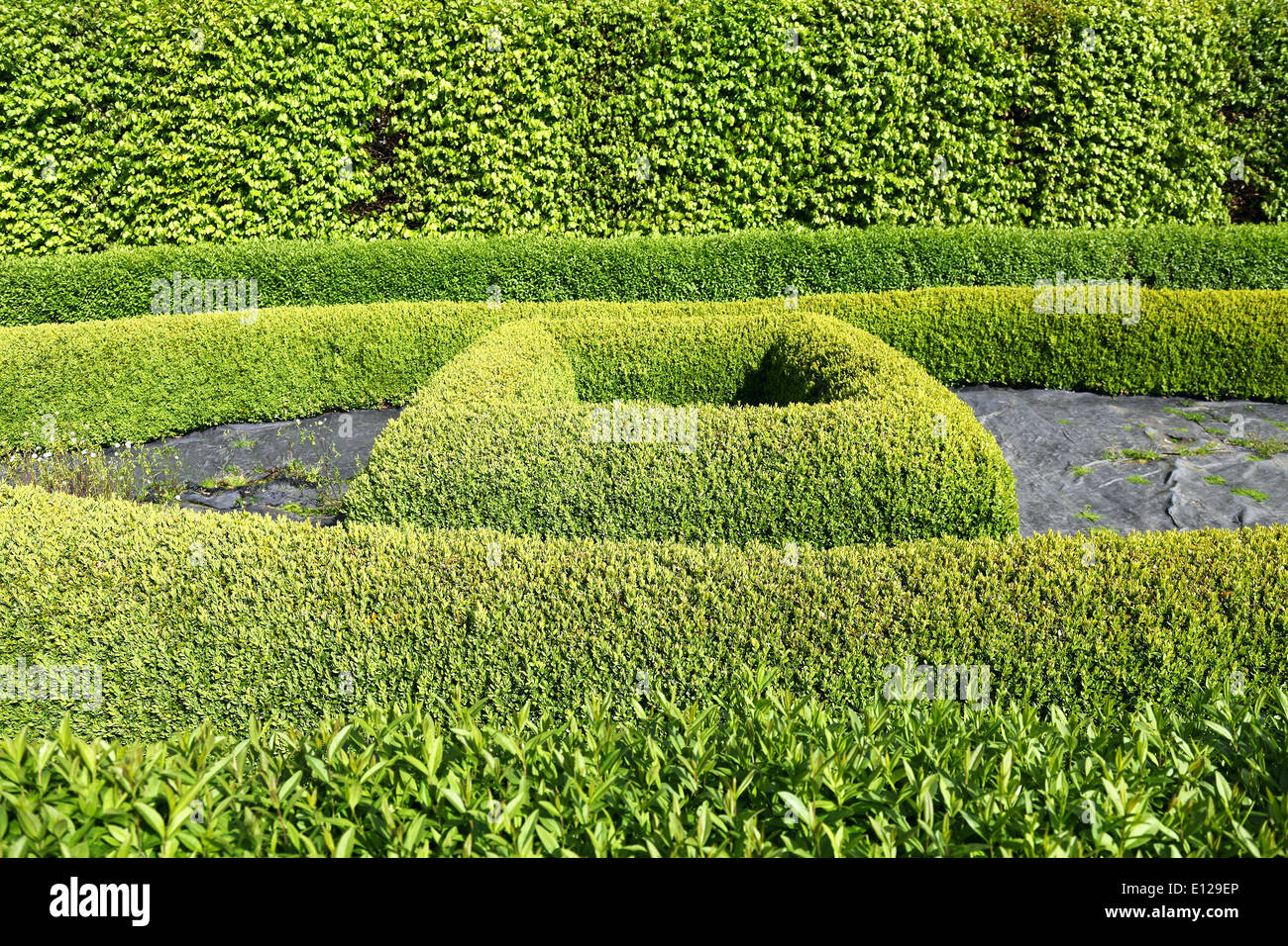 Green bushes in the garden Stock Photo