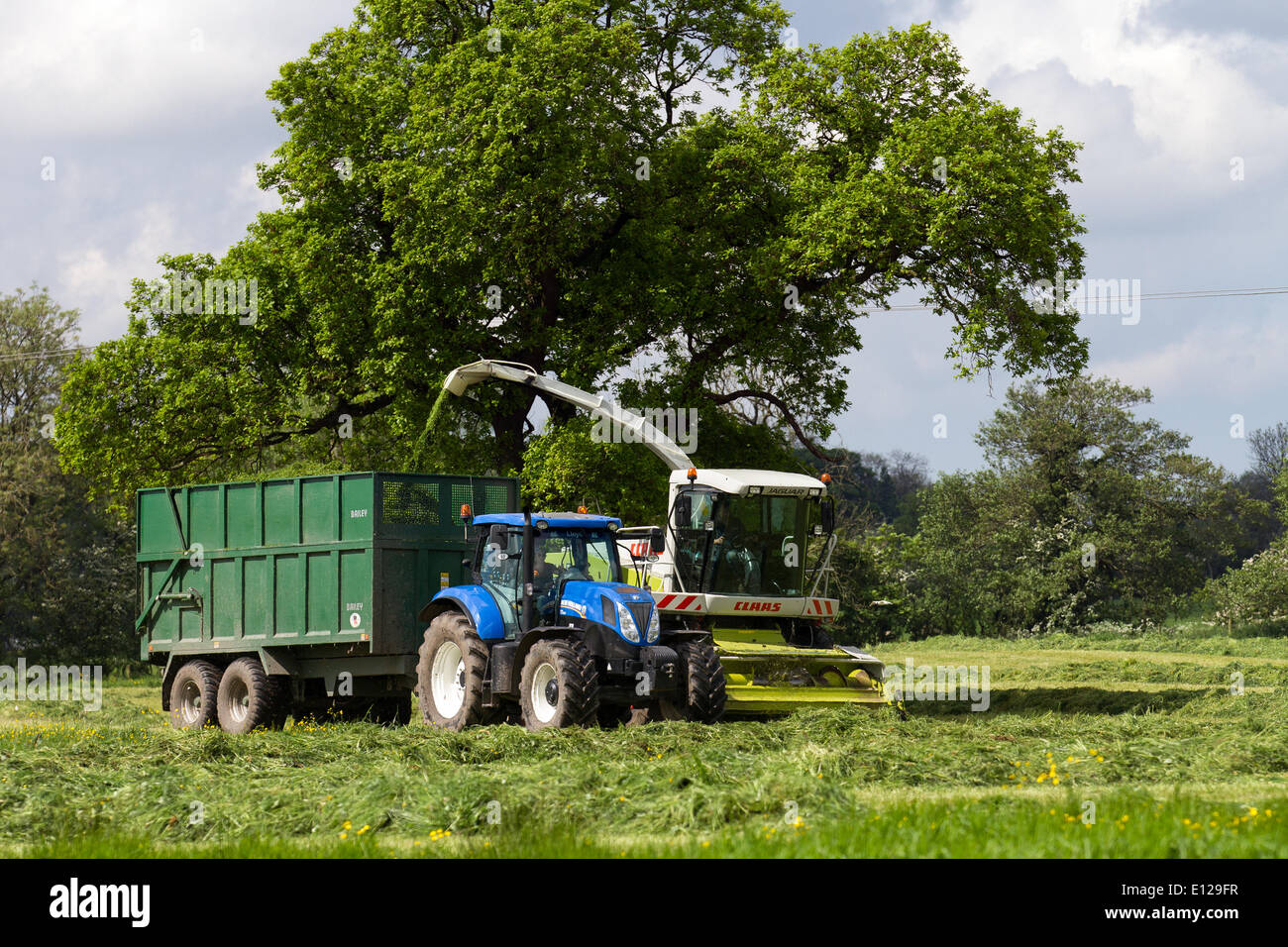 Claas mower hi-res stock photography and images - Alamy