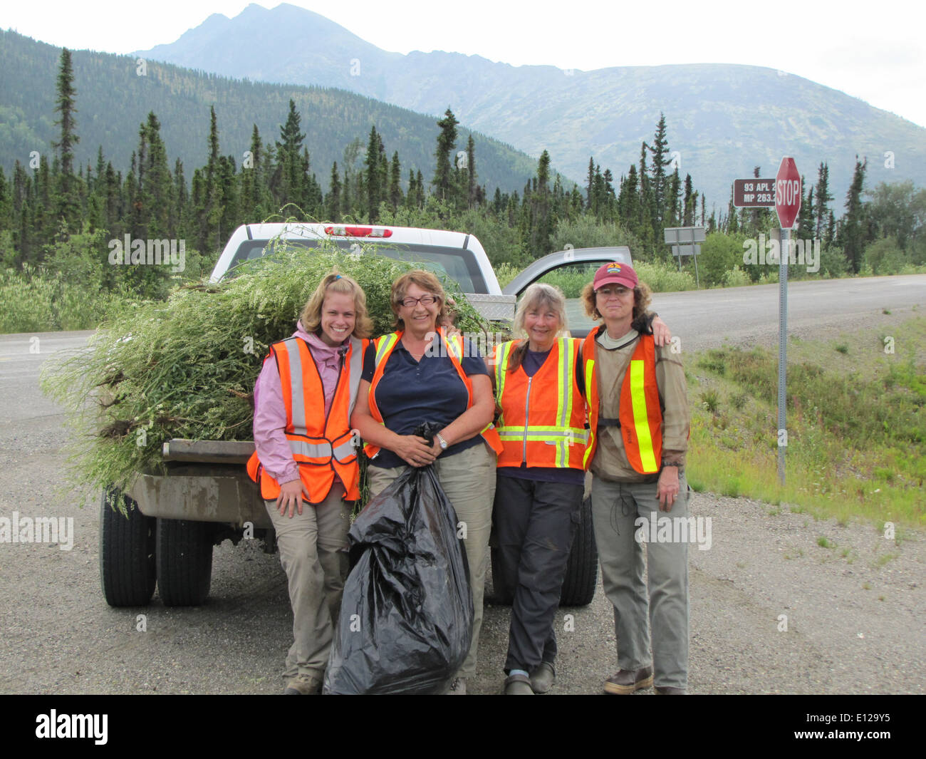Truck loads of white sweetclover was pulled throughout the week. Feels good at the end of the day! From left, FWS Erin Julianus, Friends volunteers: Joyce Cox, Betty Siegel, and Michelle Michaud Stock Photo