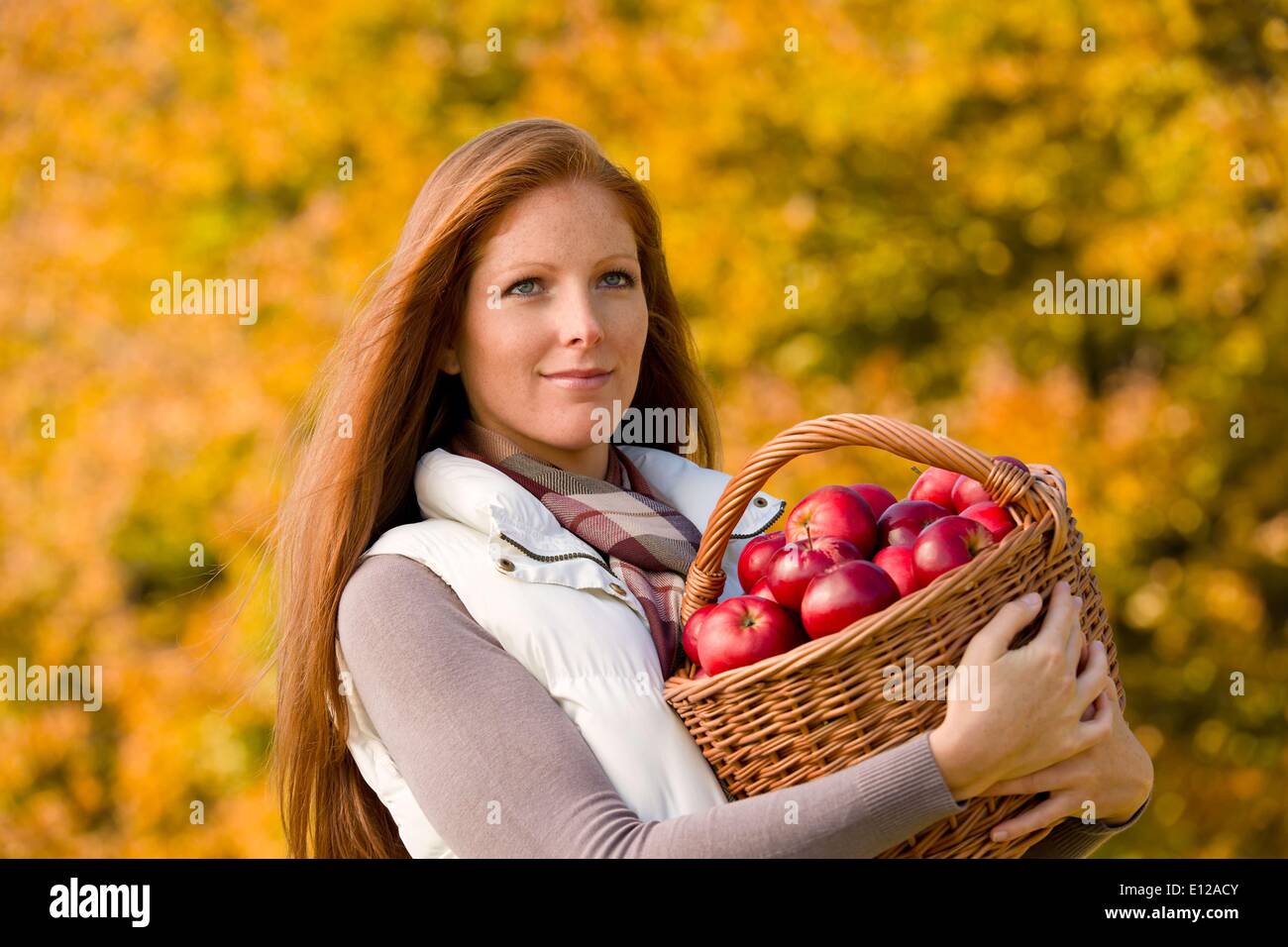 Oct. 12, 2010 - Oct. 12, 2010 - Autumn country - woman with wicker basket harvesting apple Ã‚Â© CTK/ZUMAPR Stock Photo