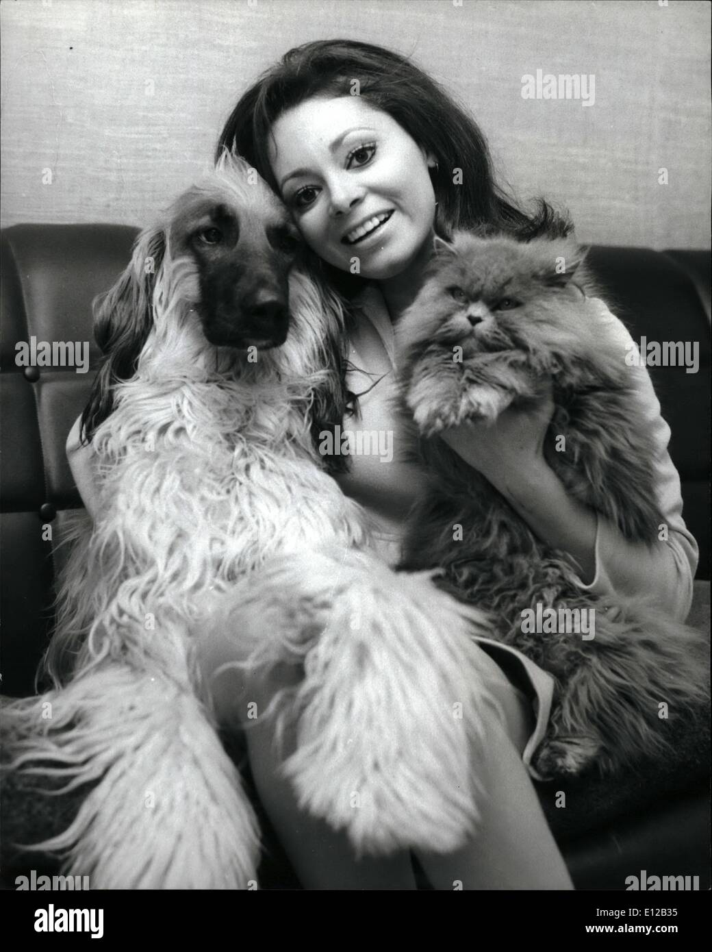 Dec. 09, 2011 - Actress Carmen Dene with two of her favourite pets-Demon the Afghan Bound, and Kala Kamelot, the smoke Persian cat. Stock Photo