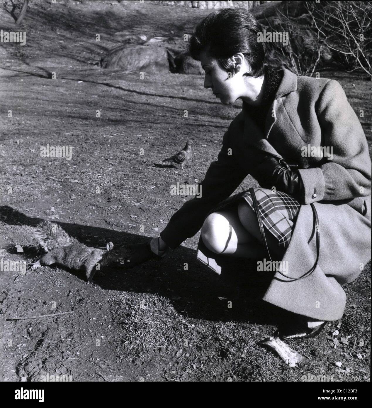 Dec. 09, 2011 - Famous singer Caterina Valente. staring now nightly at the Plaza's Persian Room feeding the squirrels of Central Park. Stock Photo