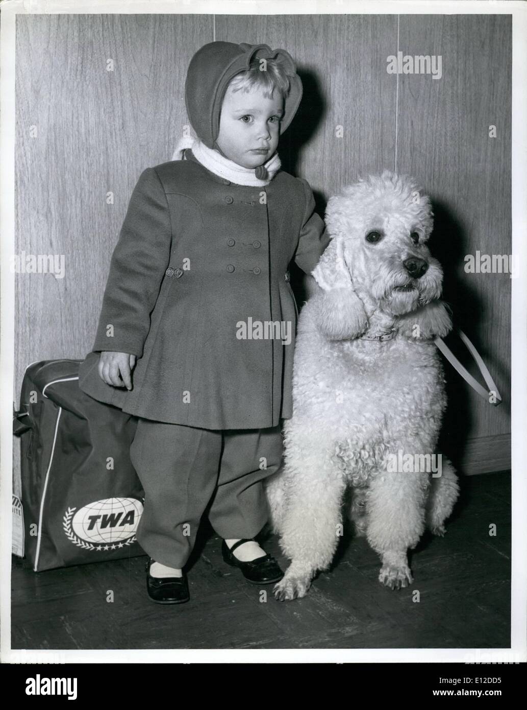 Dec. 19, 2011 - Lovable Kim Goldstein, 2, made a quick friend of French poodle ''Andre'' while waiting to board a TWA flight to Stock Photo