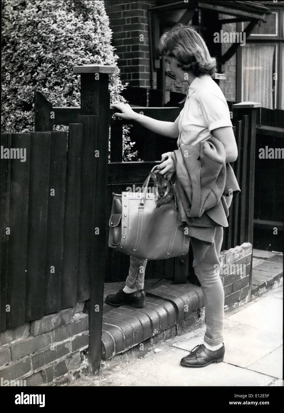 Dec. 20, 2011 - Gillian Impey arrives at her home in Luton, with Penny comfortably riding in the leather bag. Stock Photo