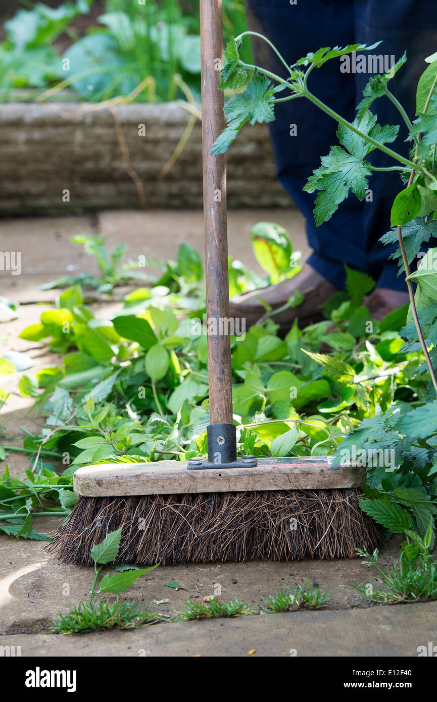 Gardener sweeping up plant cuttings from pathway in an English garden Stock Photo