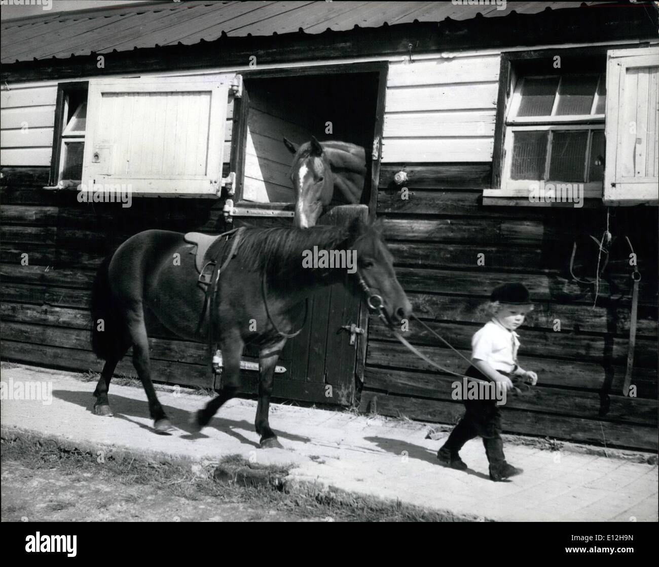 Feb. 24, 2012 - The house looking over the stable door looks as if he would like to go for an outing too as he watches little Martin Brierley leading his pony ''Dot'' before their riding lesson. Curiy Haired Martin wind riding Trophies at the Age of Two: It's not a very long age that 2-year-old Martin Brierley learned to walk, and already he has won a couple of posettes for his performance in gymkhanas near his home at Salisbury Road, Worthing, Sussex. Cuarly haired Martin has been riding since he was 18 months old and is the youngest member of the Crawley and Horsham Branch of the Pony Club Stock Photo