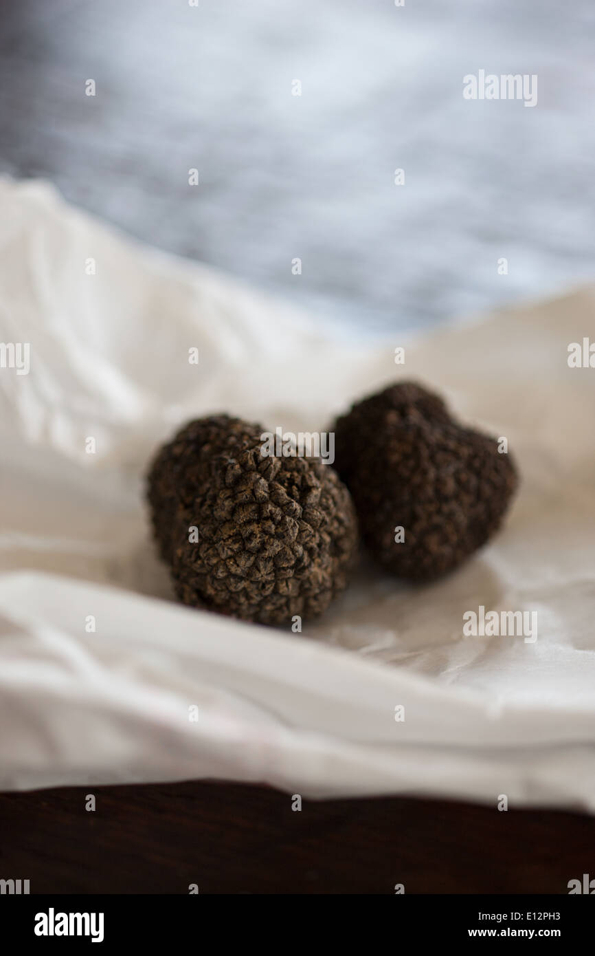 Black Italian truffles Stock Photo Alamy