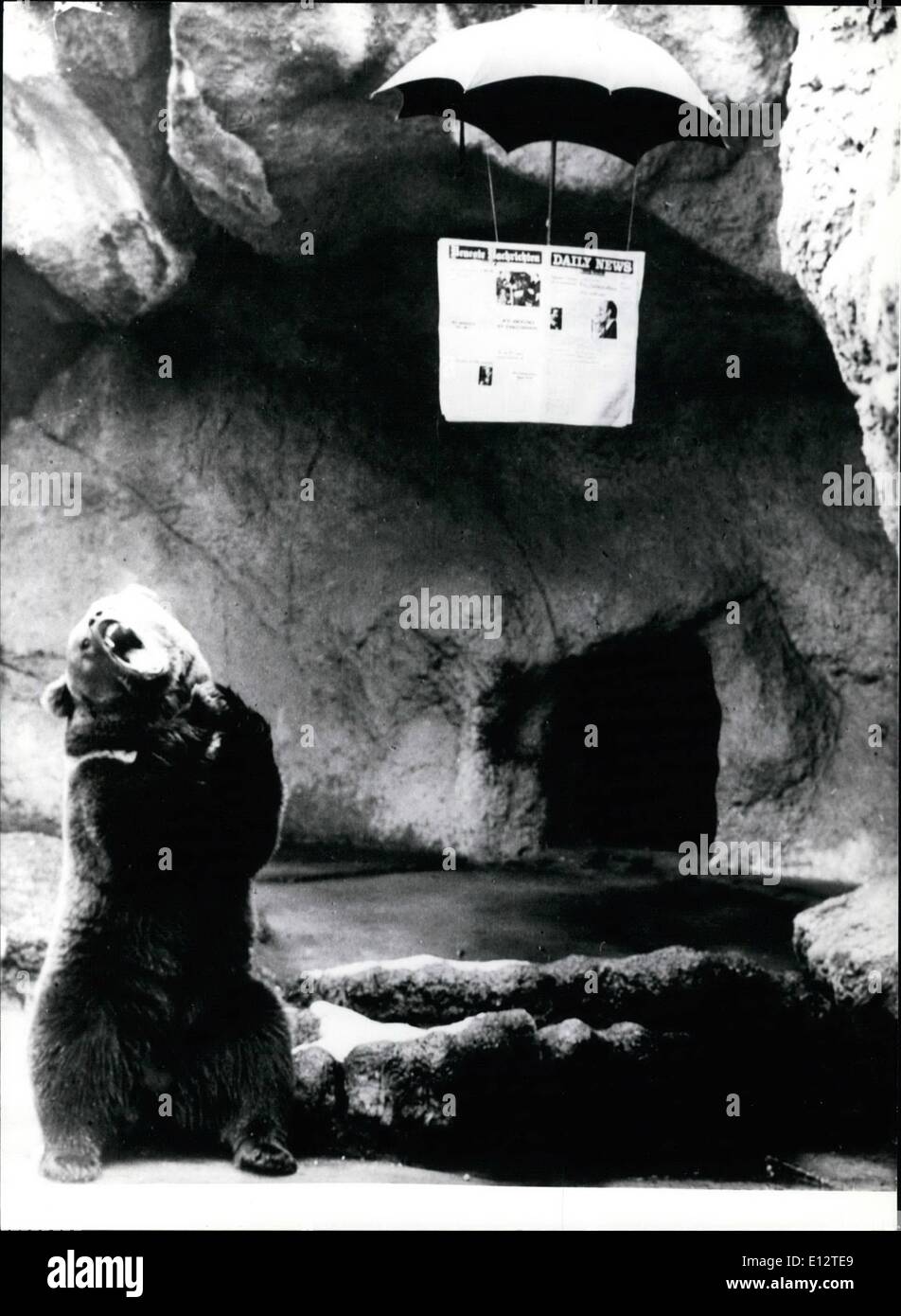Feb. 25, 2012 - Rain Again: He has enough of it, this bear at the zoo of Budapest (Hungary). According to his mimics the weather report in the paper, which is being lowered into his territory, when it says: Rain again? Stock Photo