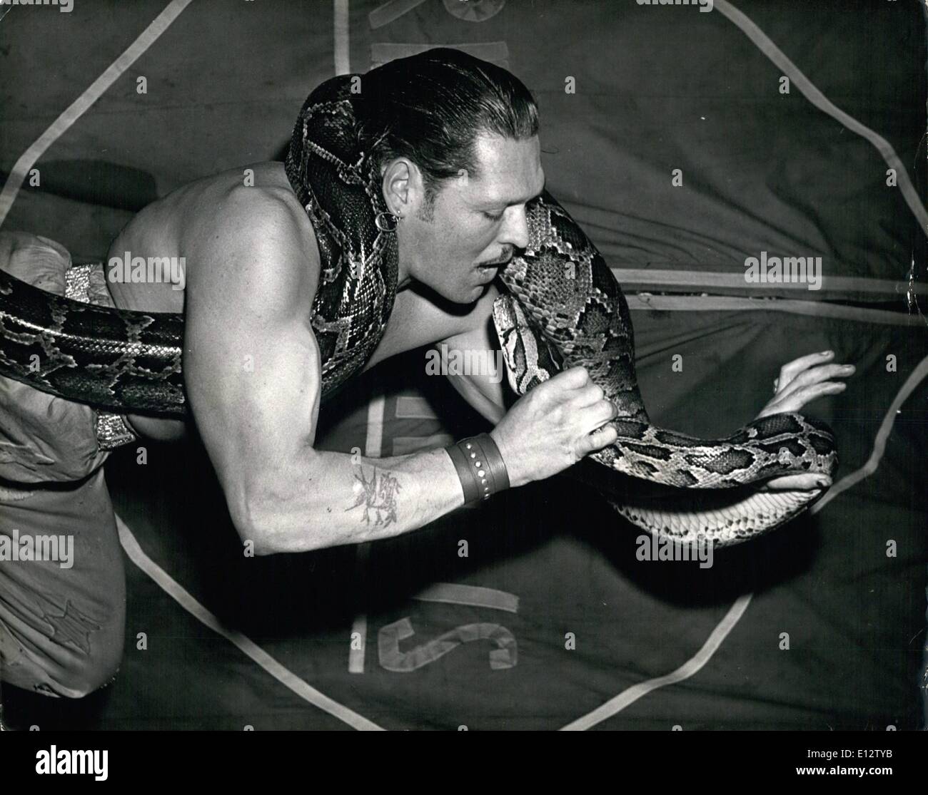 The Kiss Death Pyhton Biggest Snake In Fairground Business High Resolution Stock Photography And Images Alamy