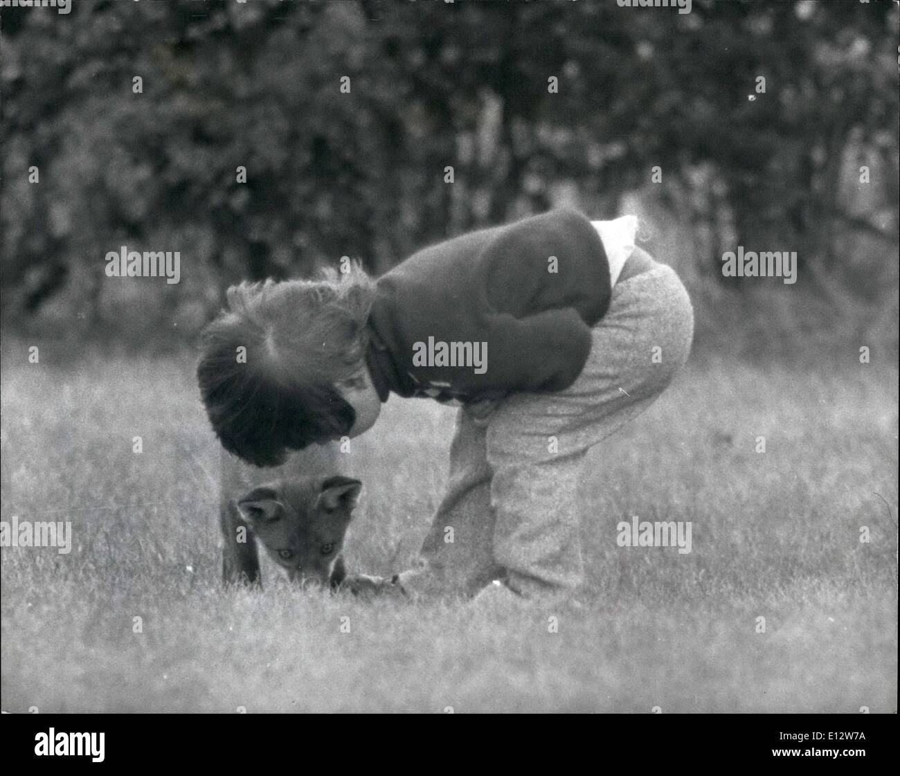 Feb. 25, 2012 - Secret friends.: Somewhere in East Anglia, four-year-old Christian, is playing hide-and-seek with his secret pal a young wildfox. Exactly where, and the boy's surname, have to be kept secret because the boy's father works for a hunting farmer. The relationship between boy and fox has grown since the end of the last Summer when the boy found the fox in his parent;s garden. The cub was exhausted and unable to move, according to Christian's mother. the fox was fed, recovered its strength, and left the safety of the garden Stock Photo