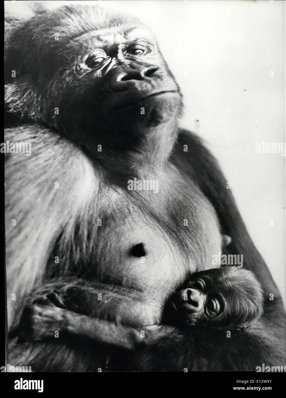 Feb. 25, 2012 Proud Parent. The world famous ape house of the zoological gardens in Basel
