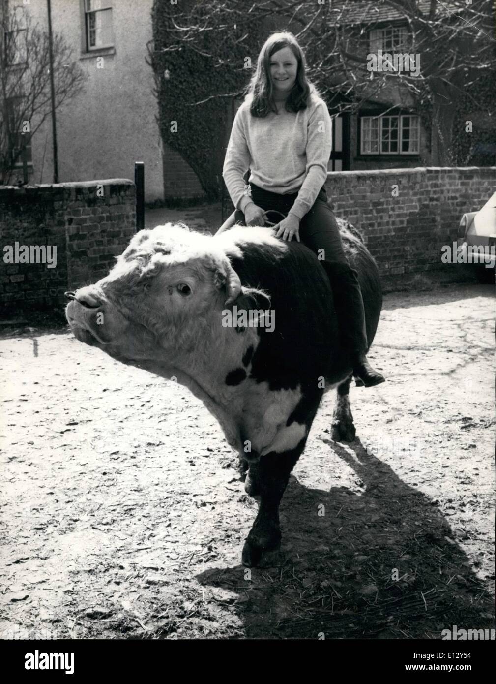 Feb. 25, 2012 - Down On The Farm - Ellen Rides Crickley The Bull: When 18 year old Ellen Bakeer wents to make a  of her father's farm in Thame, Oxfordshire she doesn't use a car or even a horse - for Ellen simply jump into the back of Crickley, the bull: Ellen, who has just won the local ''Miss Dairymaid'' title has been riding Crickley for just over 18 months - since her father bought him, in fact. For Ellen was worried about Crickley - he was so quiet - so she jumped on his back and rode him Stock Photo