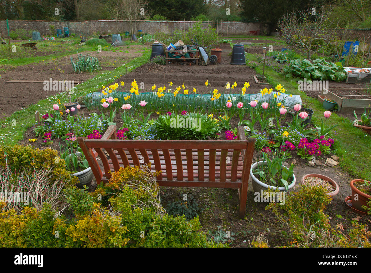 Garden allotment with Spring flowers and tilled soil Stock Photo Alamy