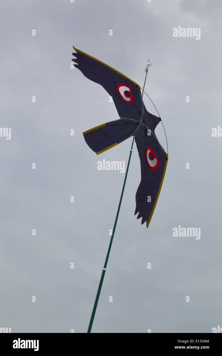 Bird scaring Kite, with much emphasized eyes, used to act as a scaring device over  crop of peas. Ingham. Norfolk. Stock Photo