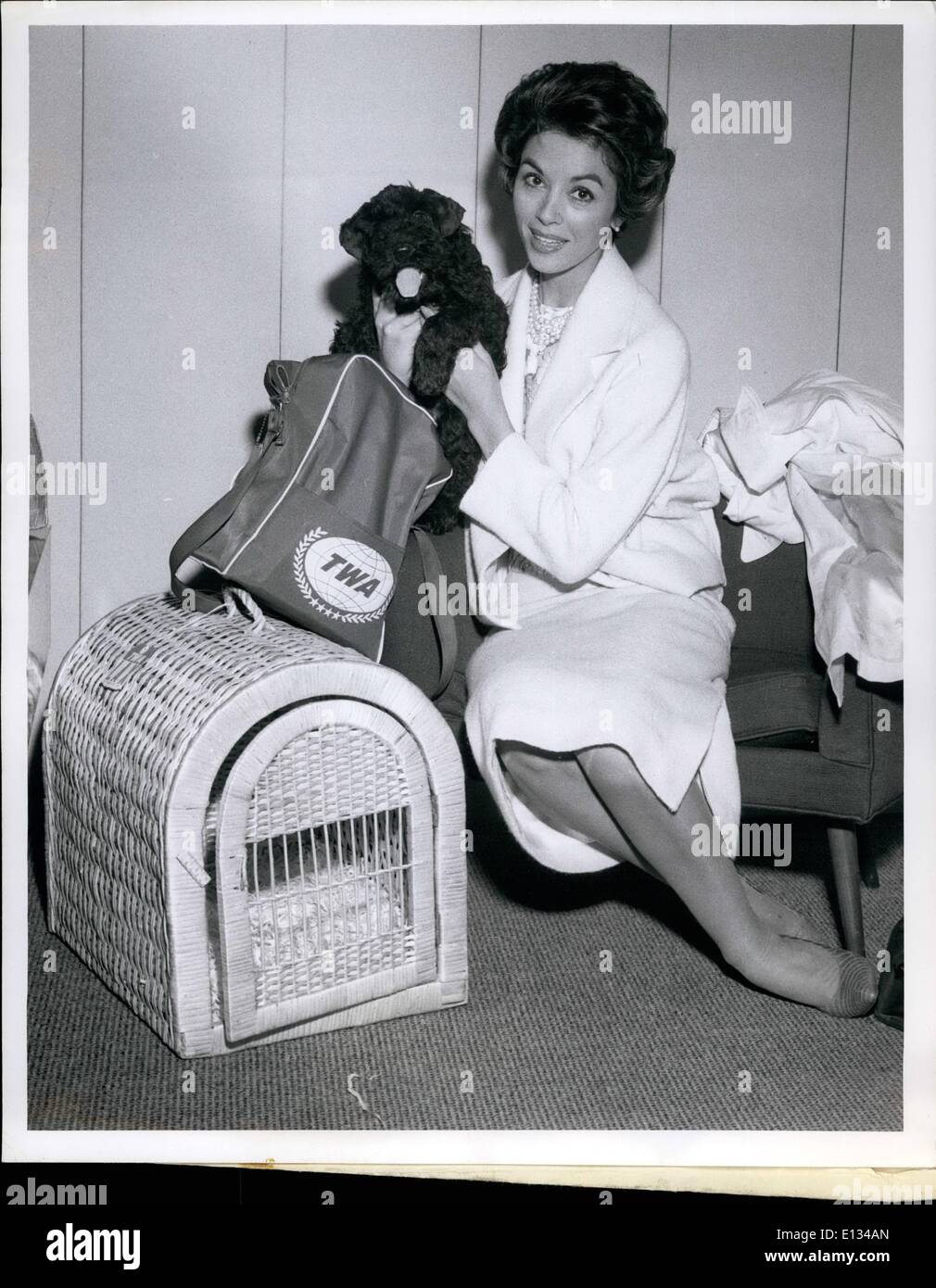 Feb. 28, 2012 - N.Y. International Airport Lovely English import Dana Wynter gets acquainted with her recently acquired nameless dog prior to superjetting via TWA for Los Angeles. Miss Wynter, who is married to Greg Beutzer, was in town to help publicize her latest movie ''On the double'' with Danny Kaye. Stock Photo