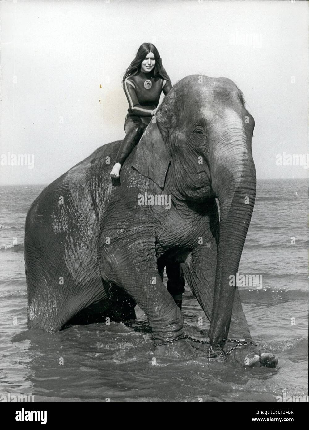 Feb. 26, 2012 - A stronge sight at sea - Linda persuades Tanya that bath time is over - so the elephant reluctantly rises to go Stock Photo