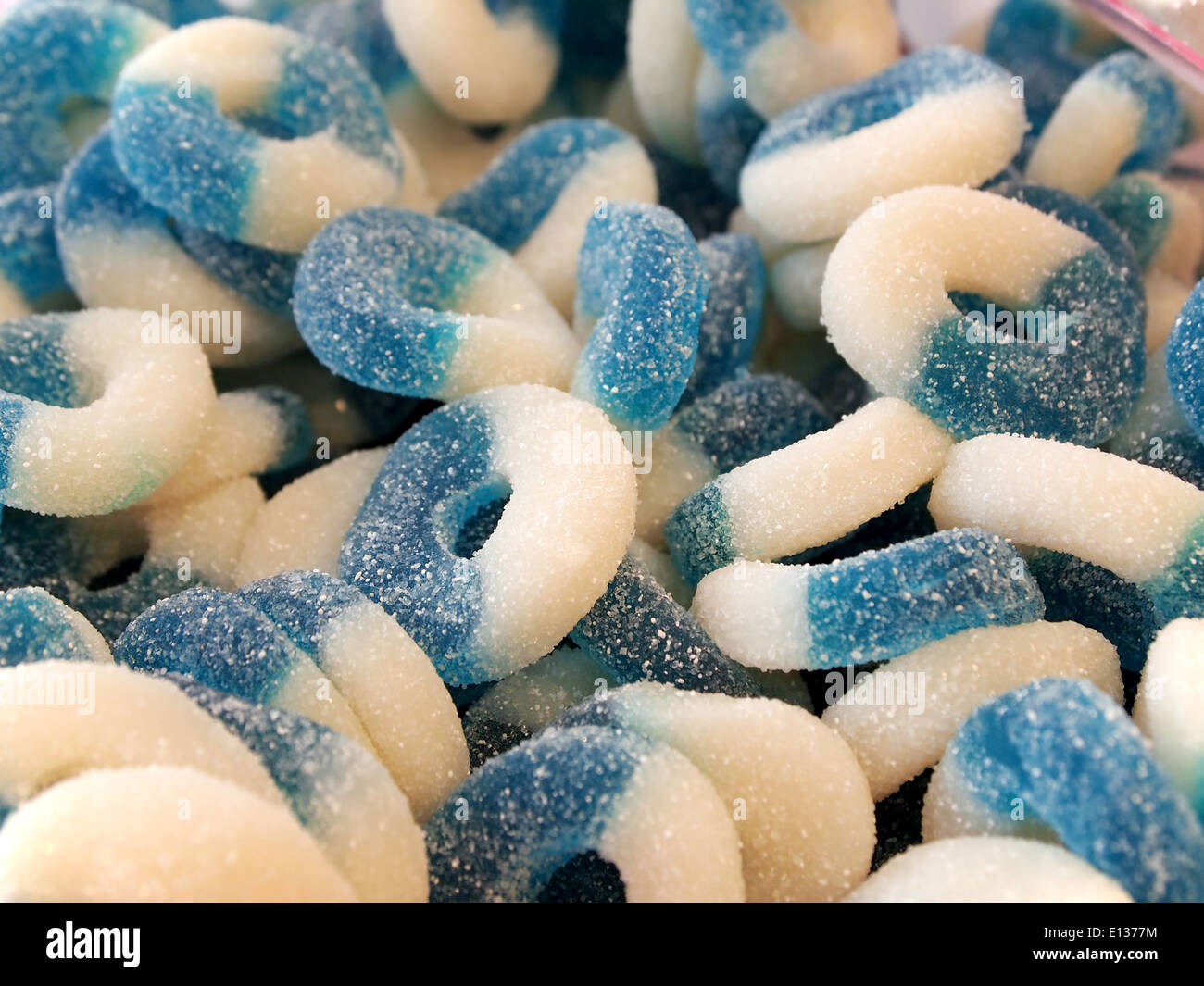 Closeup in a bin of blue raspberry or blueberry gummy fruit ring candy with crystallized sugar coating. Stock Photo