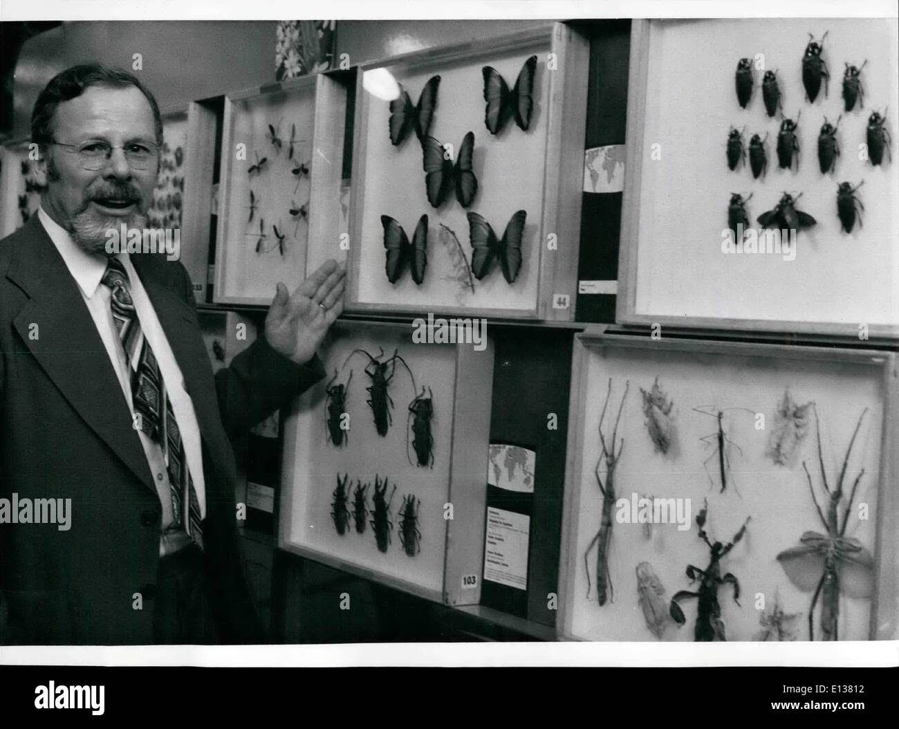 Ed Riley Insect Collection Feb. 29, 2012 - The largest Collection of Butterflies Ever Presented To ...