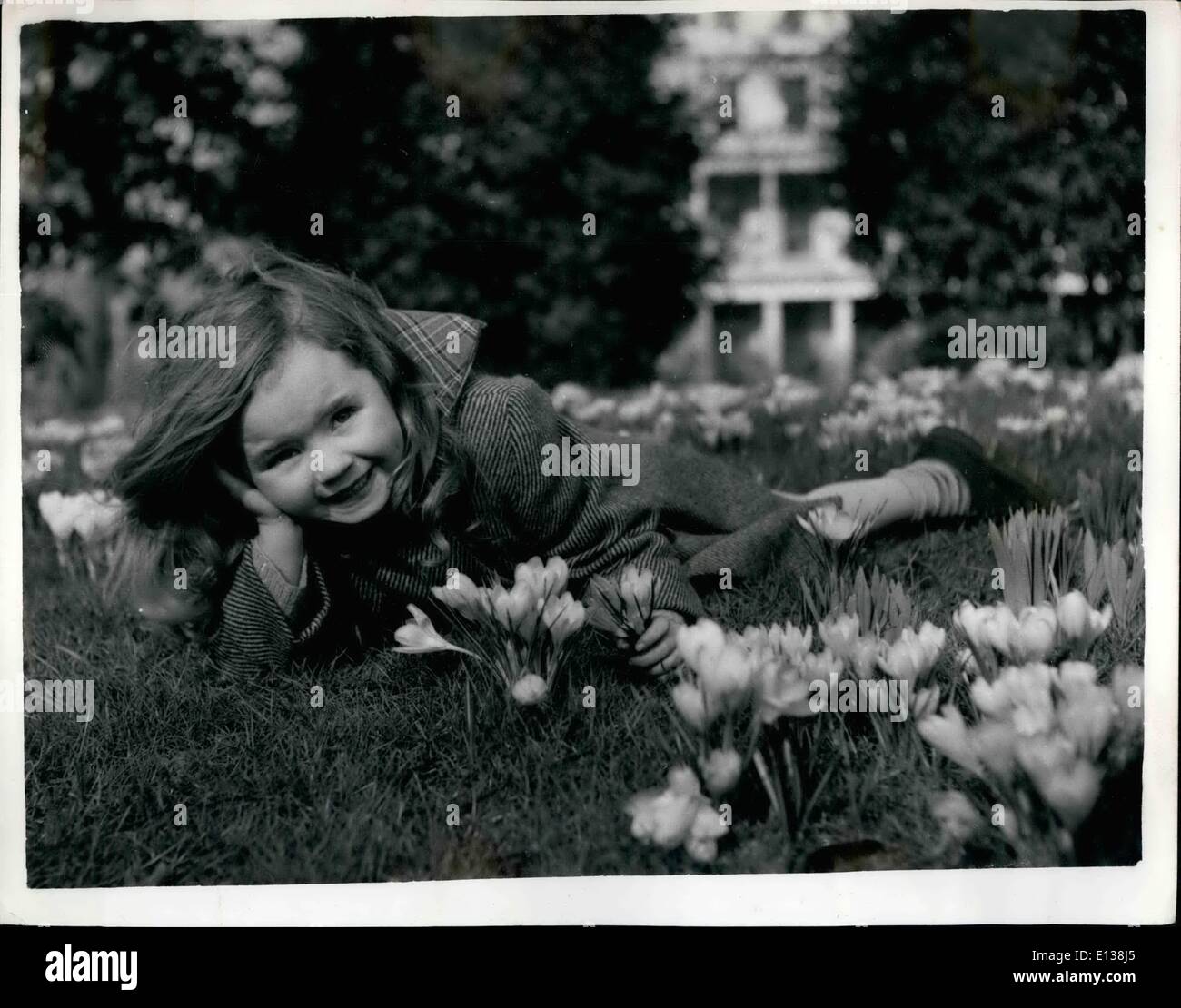 Feb. 29, 2012 - The Peonies That Bloom In The Spring:L And there they are spread out like a carpet in Kensington Gardens, auve, white and yellow crocus, sues sign that Spring really is here again. And making the picture even prettier is 4-year-old Christine Kimber who just couldn't resist having a close up look at them. Stock Photo