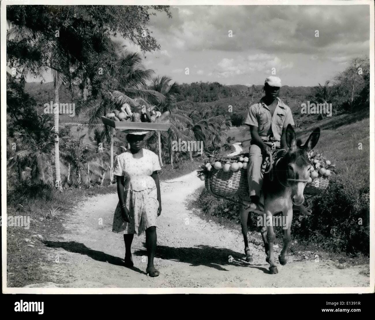 Feb. 29, 2012 - The gentleman Rides, In Jamaica, B.W.I. Country peasants on their way to market with fruits and vegetables. No one is in a hurry, least of all the patient of burdens. Stock Photo