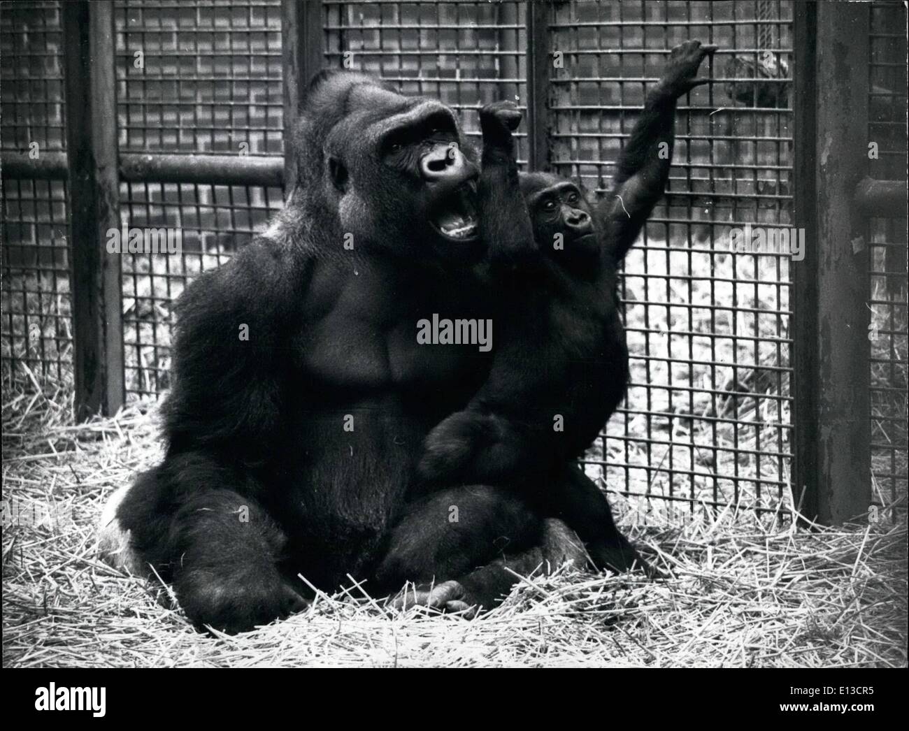 The Offspring High Resolution Stock Photography and Images - Alamy