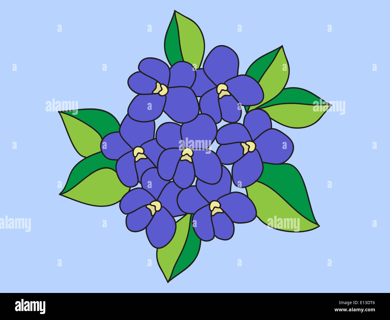 Violets illustration Stock Photo
