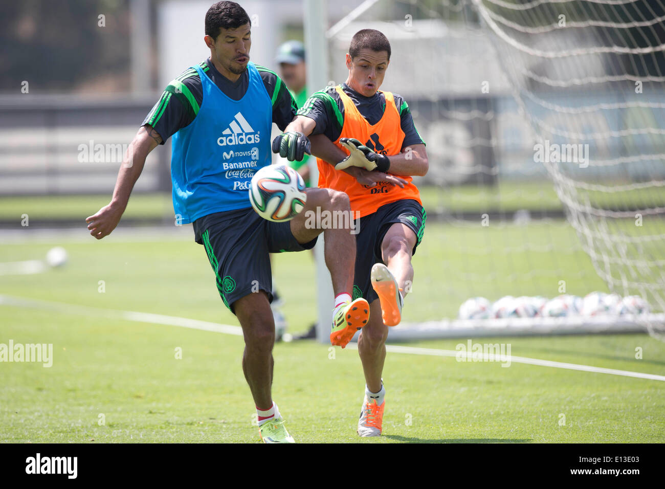 Mexico City. 21st May, 2014. Mexican National Team players Francisco Javier Rodriguez (L) and Javier Hernandez take part in a training session at the High Performance Center of the Mexican Soccer Federation in Mexico City, on May 21, 2014. Mexico will have a friendly match with Israel on May 28 before the FIFA World Cup. © Sandra Perdomo/Xinhua/Alamy Live News Stock Photo