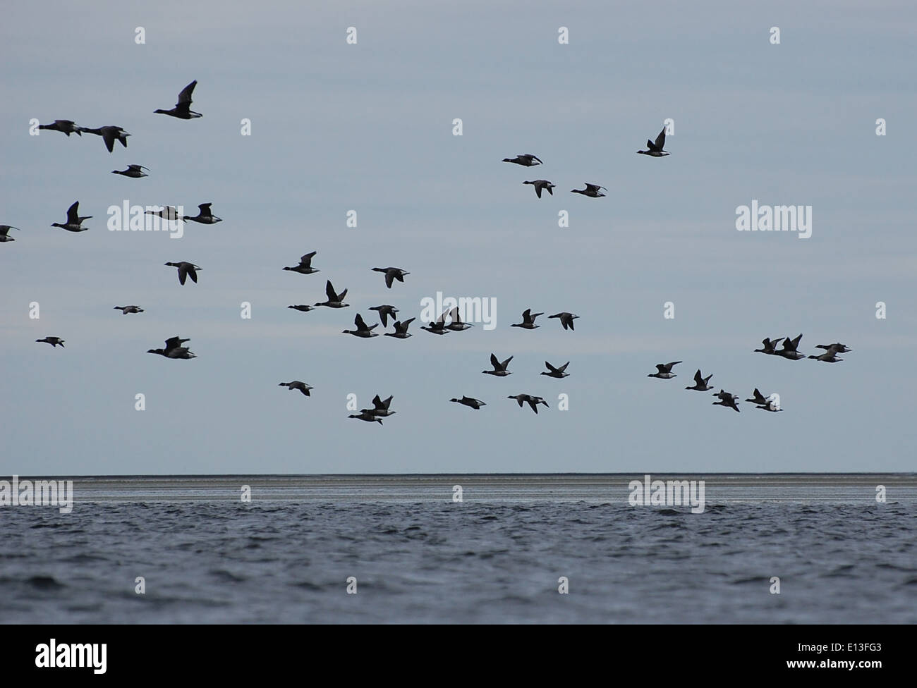 Izembek national wildlife refuge hires stock photography and images
