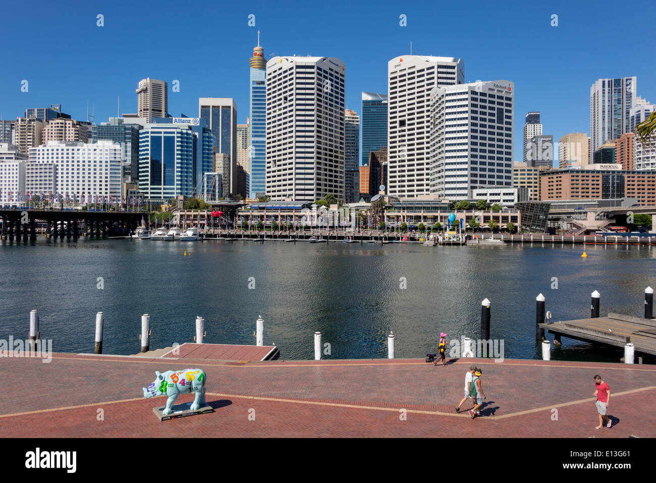 Sydney Australia,Darling Harbour,harbor,Cockle Bay Promenade,water,skyscrapers,city skyline,Wild! Rhino Sculpture Trail,public art,AU140311065 Stock Photo