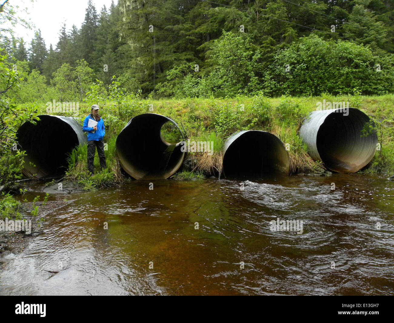 The installation of quad culverts on Montana Creek in Juneau, Alaska ...