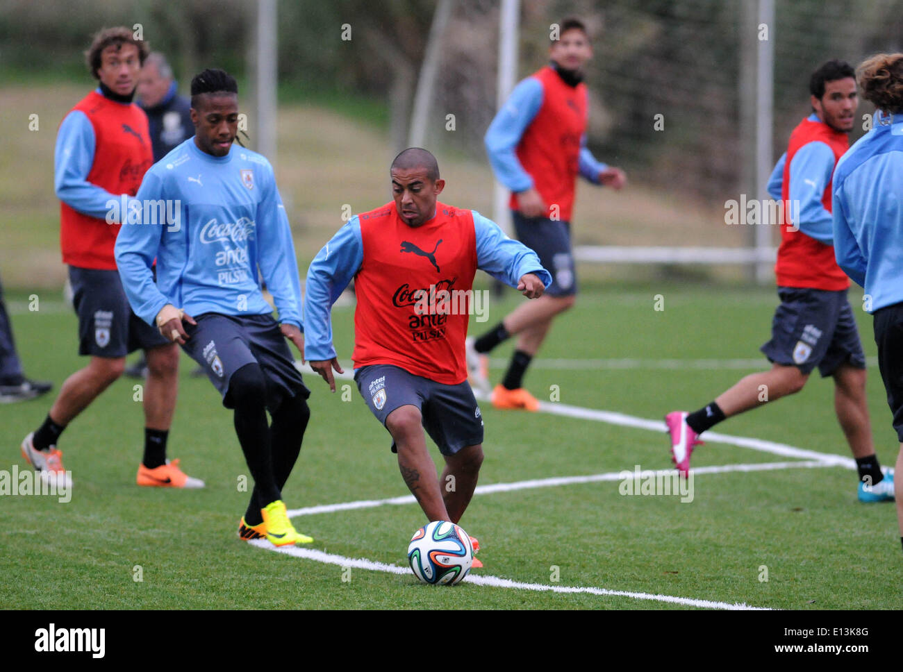 Montevideo, Uruguay. 21st May, 2014. Uruguay's national team players take part during a training session before the FIFA World Cup, at Uruguay Celeste complex, in Montevideo, capital of Uruguay, on May 21, 2014. © Nicolas Celaya/Xinhua/Alamy Live News Stock Photo
