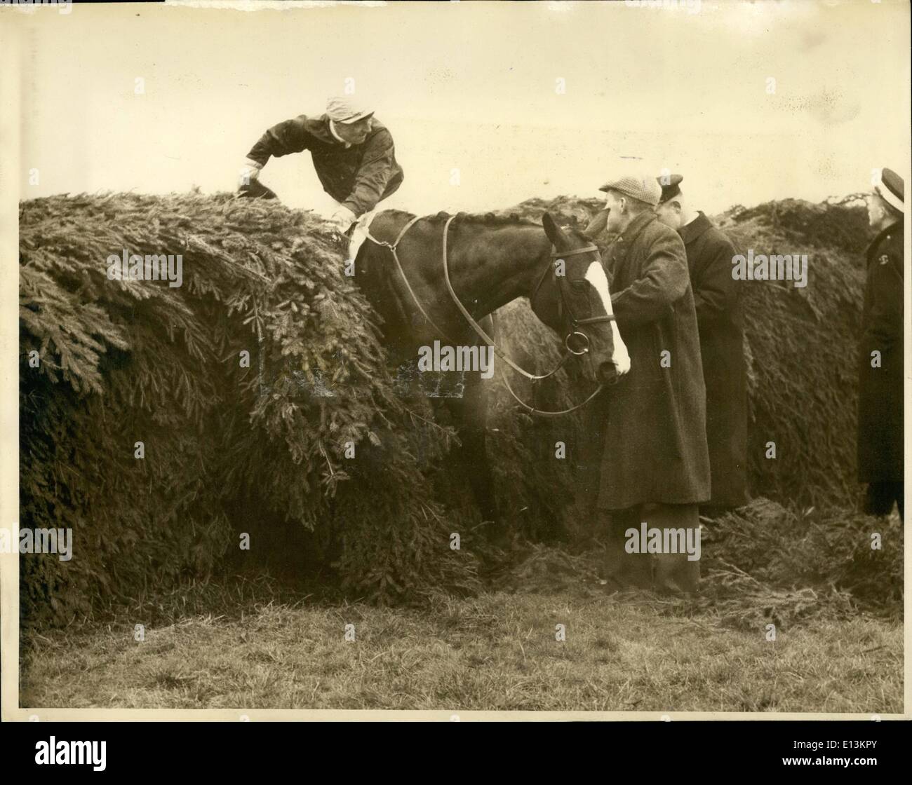 Mar. 02, 2012 - Police and bystanders try to get Athenion of the fence while D. Aneil gives him a lift up by his tail. Stock Photo